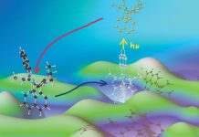 Catching the entatic state in photochemistry