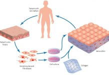 The production process|Skin|skin