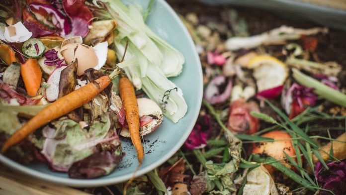 Why you should care about food waste | Innovation News Network