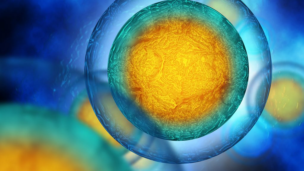 Harvesting mammalian cells with only one filter per batch