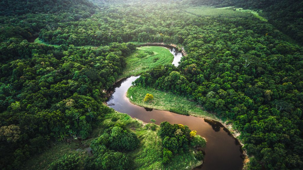 Amazon-rainforest-1024x576.jpg