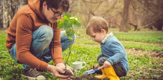 tree-planting