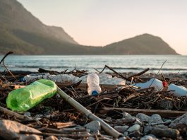 plastic pollution crisis