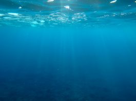 carbon sequestration ocean