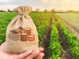 agriculture trade policies