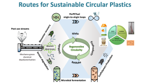 sustainable polymers