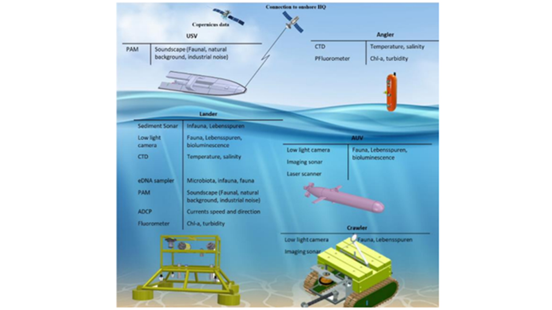 DIGI4ECO leverages advanced digital technologies and AI to enhance marine ecosystem management and restoration.