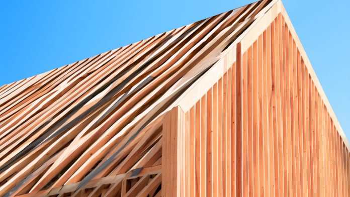 Genetically engineered wood to revolutionise construction industry sustainability