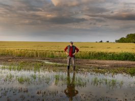 extreme weather, flooding