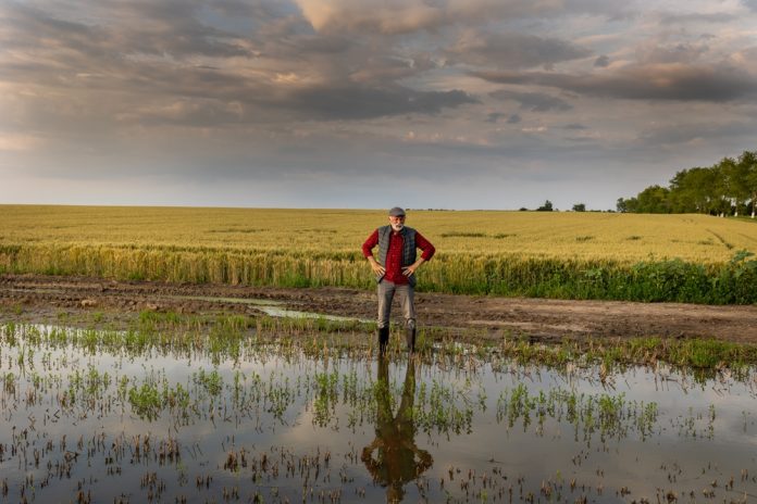 extreme weather, flooding