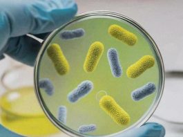 antimicrobial resistance