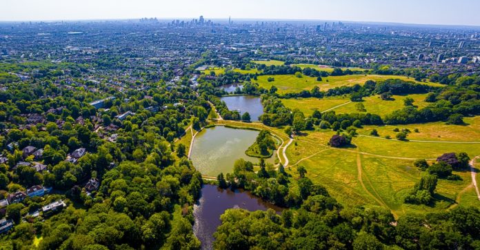 england's green spaces