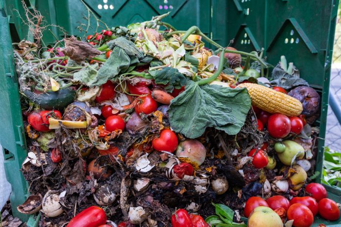 fruit and vegetable waste