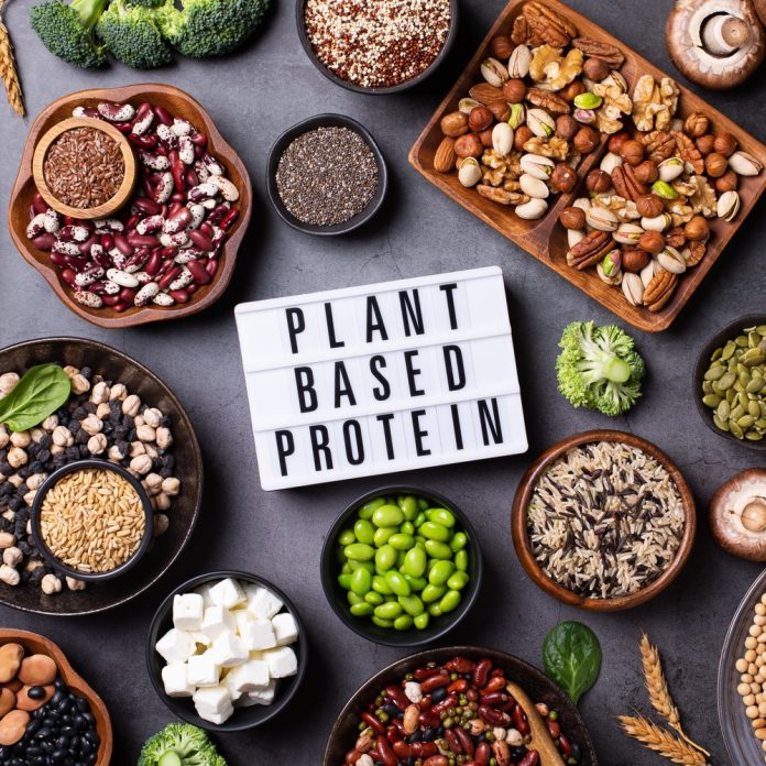 plant-based protein