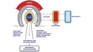 lithium-water interactions