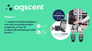 Respiratory analysis