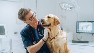 Animal health